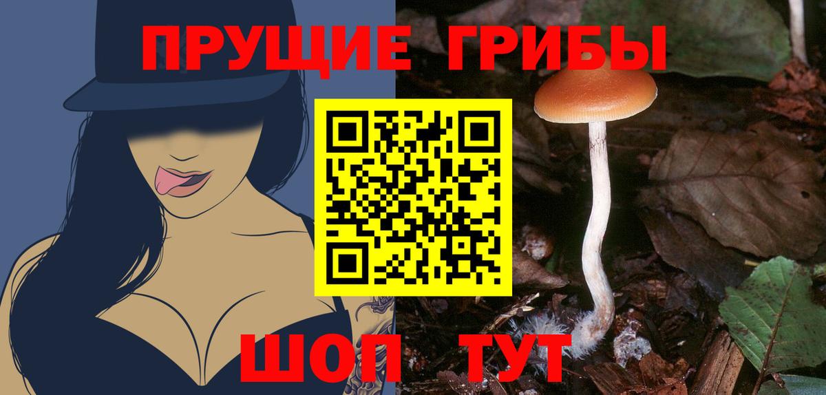 Псилоцибиновые грибы Magic Shrooms  Вход с VPN  Кашира  где продают наркотики  Галлюциногенные грибы мухоморы 